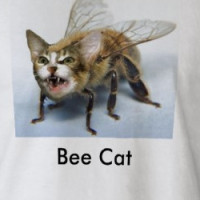 Bee Cat -- Shirt T-shirt