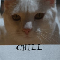 Coconut the Cat -- CHILL t-shirt T-shirt