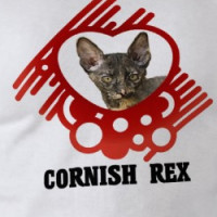 Cornish Rex Cat T-shirt