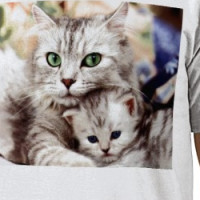 Cute Cats 4 T-shirt