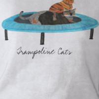 Cute cats on trampoline, t shirts T-shirt