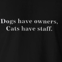 Dogs have owners, Cats have staff. T-shirt