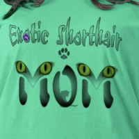 Exotic Shorthair Cat Mom Gifts T-shirt