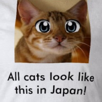 kitty, All cats look like this in Japan! T-shirt