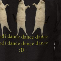 kitty-cat-dance copy, cats im a kitty cat! T-shirt