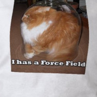 lol cats shirt-i has a forcefield T-shirt