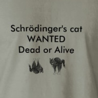 schrodinger's cat T-shirt